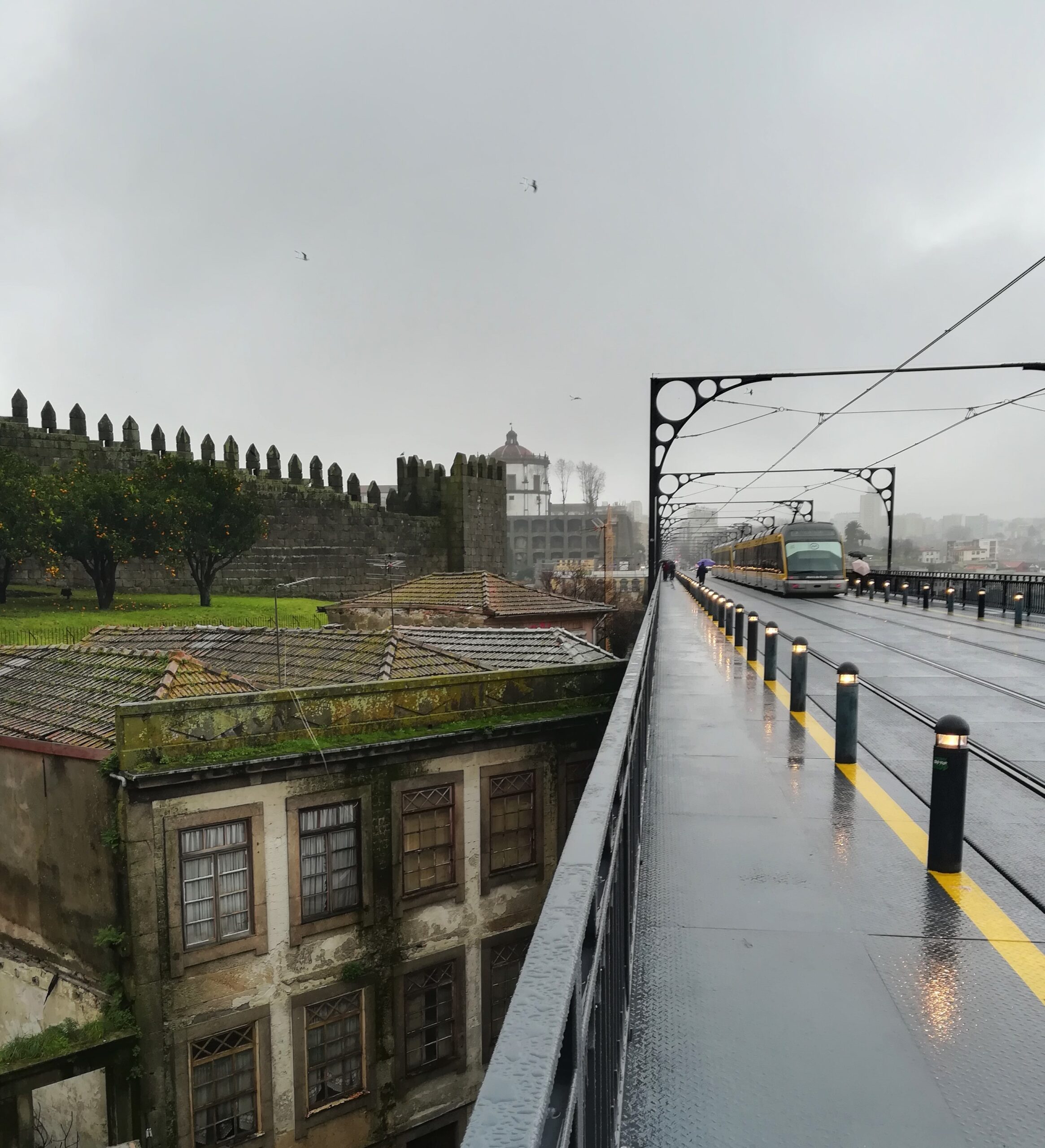 bridge through everything