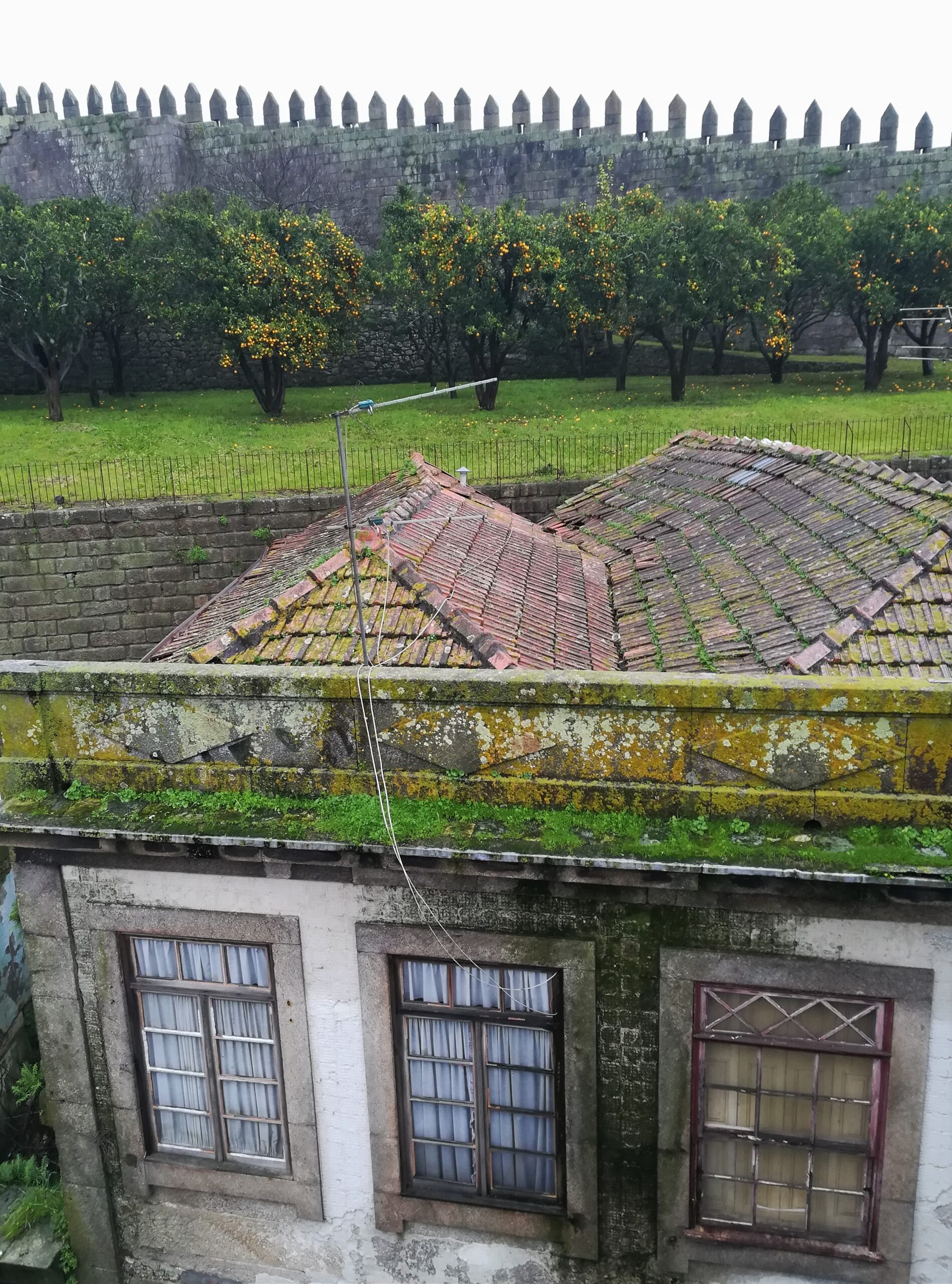 view from dom luís abandoned houses